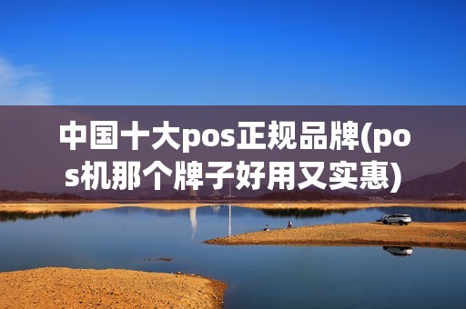 中国十大pos正规品牌(pos机那个牌子好用又实惠)