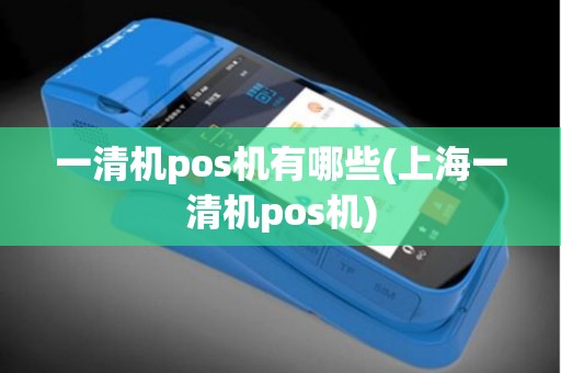 一清机pos机有哪些(上海一清机pos机)