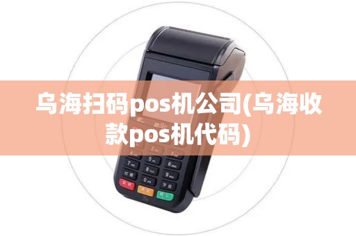 乌海扫码pos机公司(乌海收款pos机代码)