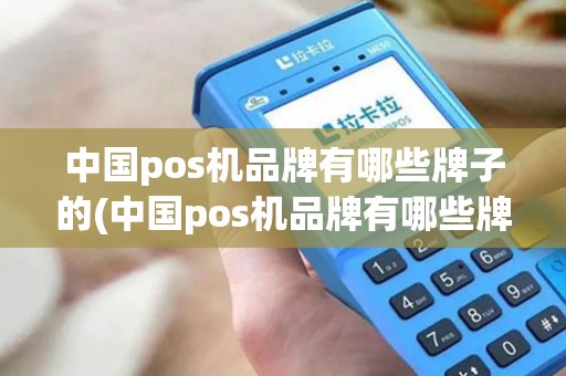 中国pos机品牌有哪些牌子的(中国pos机品牌有哪些牌子)