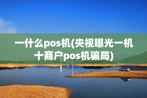 一什么pos机(央视曝光一机十商户pos机骗局)