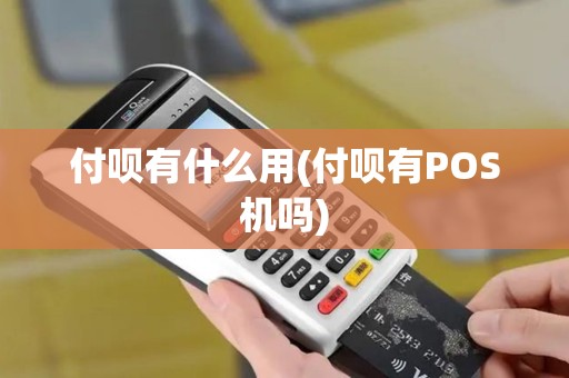 付呗有什么用(付呗有POS机吗)