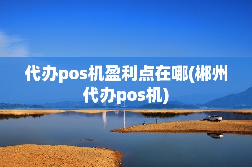 代办pos机盈利点在哪(郴州代办pos机)