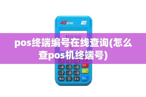 pos终端编号在线查询(怎么查pos机终端号)