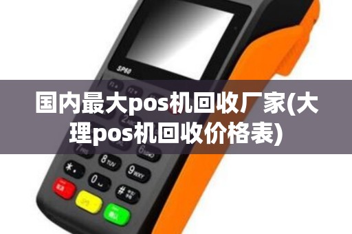 国内最大pos机回收厂家(大理pos机回收价格表)
