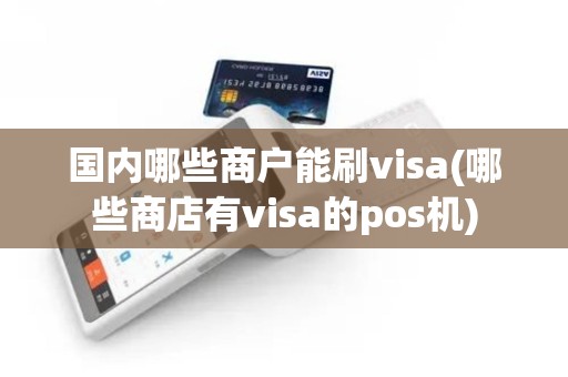 国内哪些商户能刷visa(哪些商店有visa的pos机)