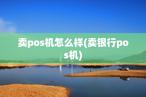 卖pos机怎么样(卖银行pos机)