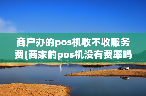 商户办的pos机收不收服务费(商家的pos机没有费率吗)