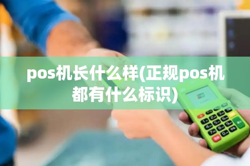 pos机长什么样(正规pos机都有什么标识)