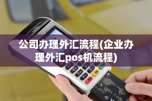 公司办理外汇流程(企业办理外汇pos机流程)