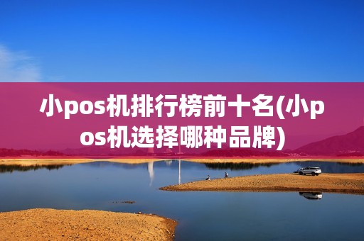 小pos机排行榜前十名(小pos机选择哪种品牌)