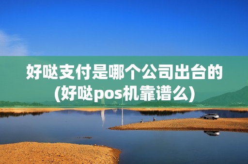 好哒支付是哪个公司出台的(好哒pos机靠谱么)