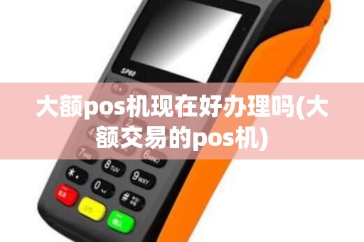 大额pos机现在好办理吗(大额交易的pos机)