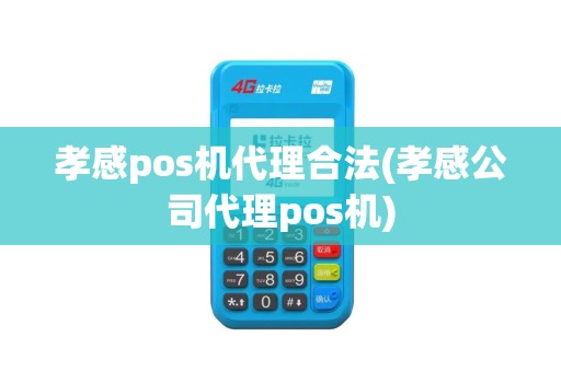 孝感pos机代理合法(孝感公司代理pos机)