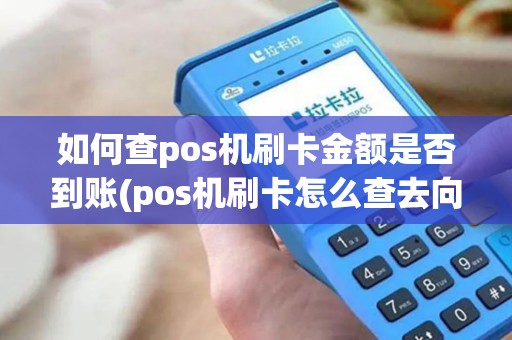 如何查pos机刷卡金额是否到账(pos机刷卡怎么查去向)