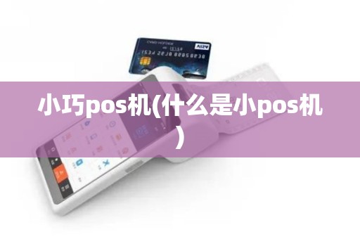 小巧pos机(什么是小pos机)