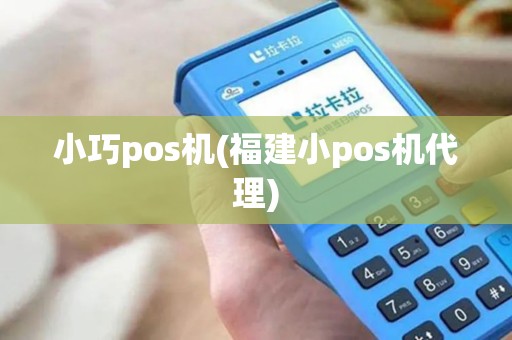 小巧pos机(福建小pos机代理)