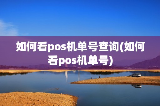 如何看pos机单号查询(如何看pos机单号)