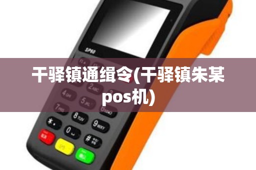 干驿镇通缉令(干驿镇朱某pos机)