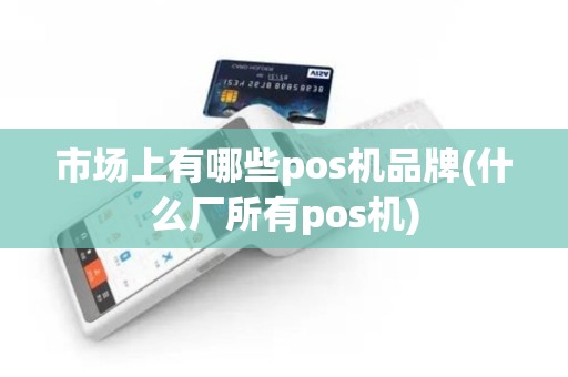 市场上有哪些pos机品牌(什么厂所有pos机)