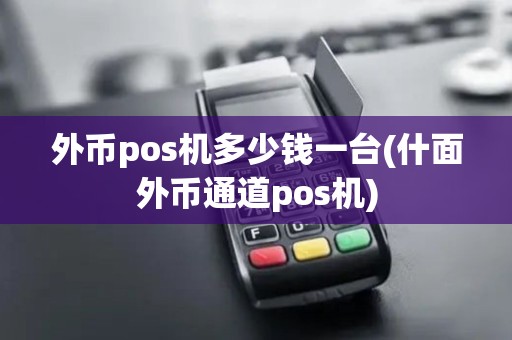 外币pos机多少钱一台(什面外币通道pos机)