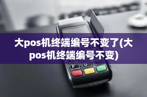 大pos机终端编号不变了(大pos机终端编号不变)