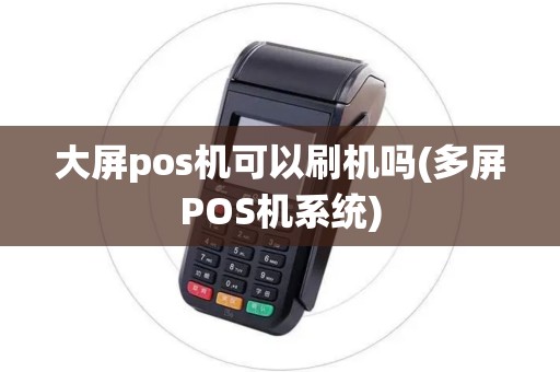 大屏pos机可以刷机吗(多屏POS机系统)