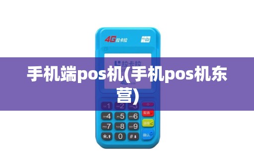 手机端pos机(手机pos机东营)