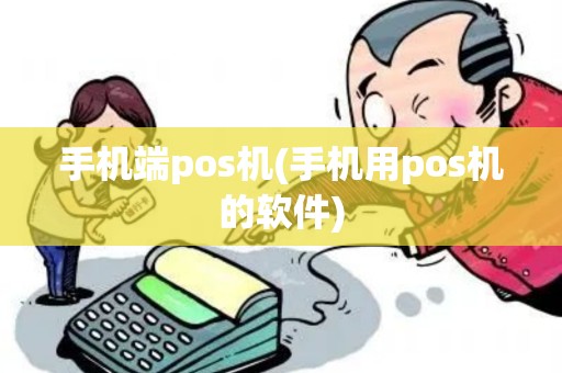 手机端pos机(手机用pos机的软件)