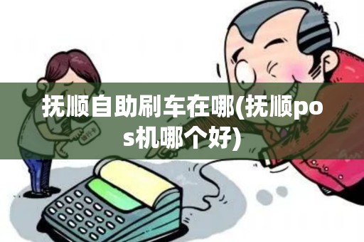 抚顺自助刷车在哪(抚顺pos机哪个好)