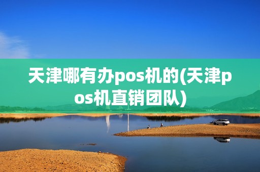 天津哪有办pos机的(天津pos机直销团队)