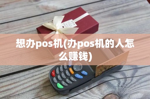 想办pos机(办pos机的人怎么赚钱)
