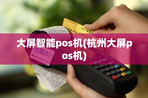 大屏智能pos机(杭州大屏pos机)