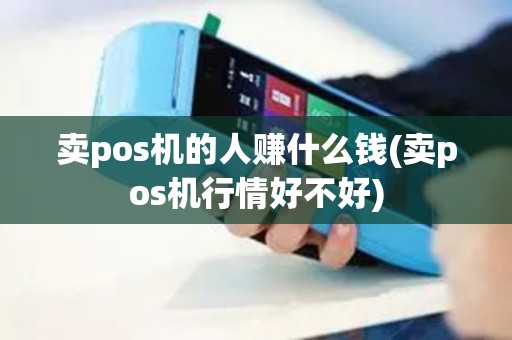 卖pos机的人赚什么钱(卖pos机行情好不好)