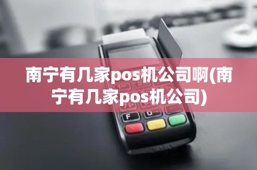 南宁有几家pos机公司啊(南宁有几家pos机公司)