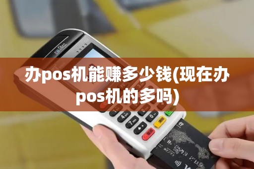 办pos机能赚多少钱(现在办pos机的多吗)