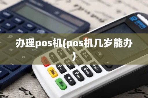办理pos机(pos机几岁能办)