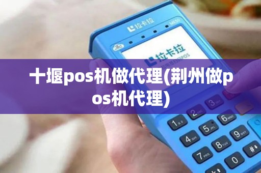 十堰pos机做代理(荆州做pos机代理)