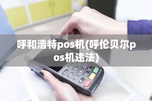 呼和浩特pos机(呼伦贝尔pos机违法)