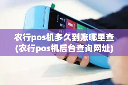 农行pos机多久到账哪里查(农行pos机后台查询网址)