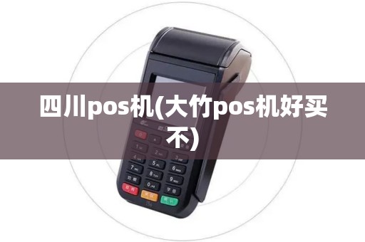 四川pos机(大竹pos机好买不)