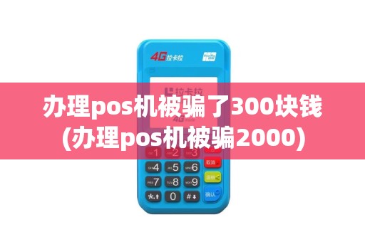 办理pos机被骗了300块钱(办理pos机被骗2000)