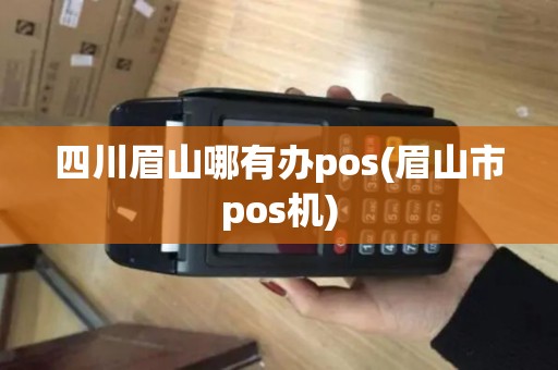 四川眉山哪有办pos(眉山市pos机)