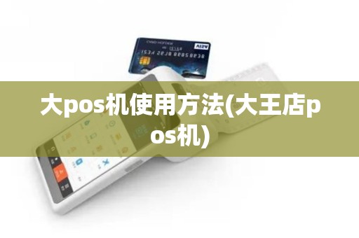 大pos机使用方法(大王店pos机)