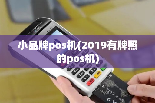 小品牌pos机(2019有牌照的pos机)