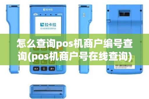 怎么查询pos机商户编号查询(pos机商户号在线查询)