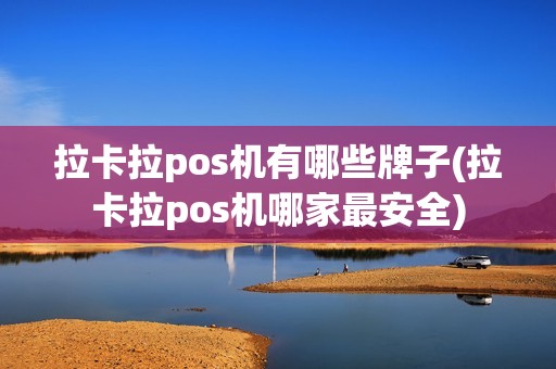 拉卡拉pos机有哪些牌子(拉卡拉pos机哪家最安全)