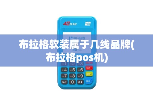 布拉格软装属于几线品牌(布拉格pos机)