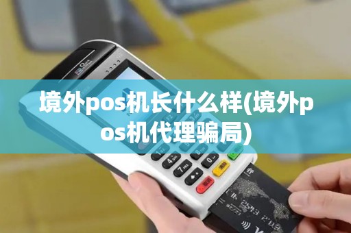 境外pos机长什么样(境外pos机代理骗局)