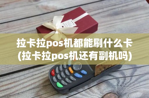 拉卡拉pos机都能刷什么卡(拉卡拉pos机还有副机吗)